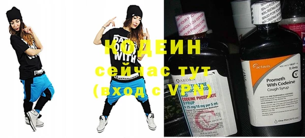 дживик Богородск
