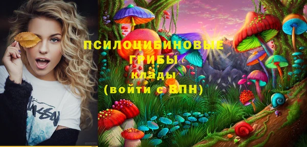 дживик Богородск