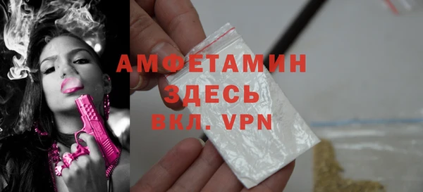дживик Богородск