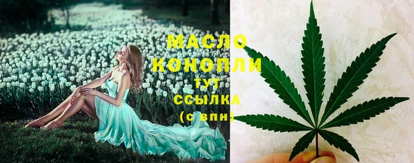 дживик Богородск