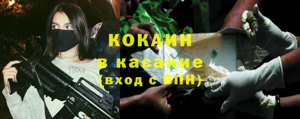 дживик Богородск
