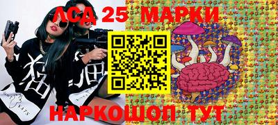 шишки Можга