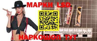 шишки Можга