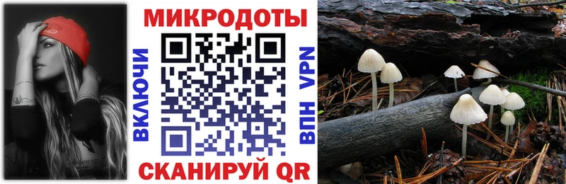 Псилоцибиновые грибы ЛСД blacksprut зеркало Гудермес