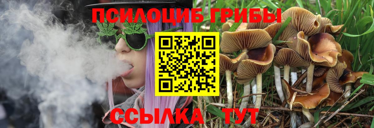 Галлюциногенные грибы Magic Shrooms  Вход с VPN  Гудермес  Псилоцибиновые грибы мицелий 
