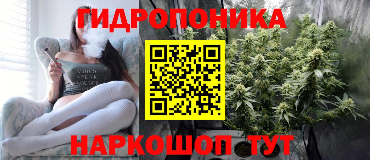 Бошки марихуана план Гудермес